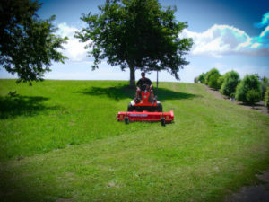 DSCF1404-1