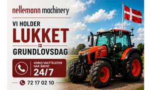 Grundlovsdag